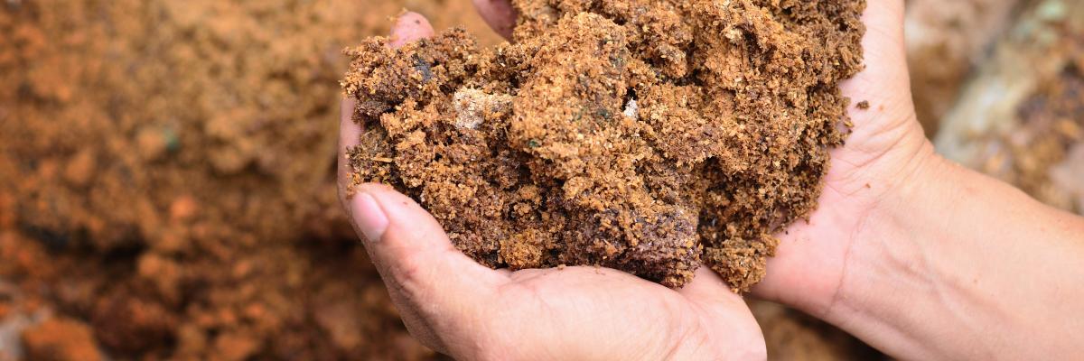 Очистка прудов-отстойников и переработка в почво-грунт